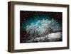 Whispers in the Dark-Philippe Sainte-Laudy-Framed Photographic Print