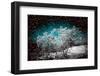 Whispers in the Dark-Philippe Sainte-Laudy-Framed Photographic Print