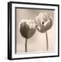 Whispers-Donatella Tandelli-Framed Art Print