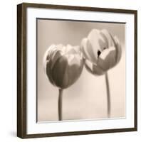 Whispers-Donatella Tandelli-Framed Art Print