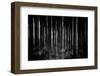 Whispers-Jacob Berghoef-Framed Photographic Print