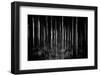 Whispers-Jacob Berghoef-Framed Photographic Print