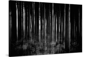 Whispers-Jacob Berghoef-Stretched Canvas