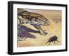 Whistle Cricket (Eugaster Spinulosa), Tettigoniidae, Drawing-null-Framed Giclee Print