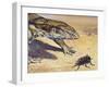 Whistle Cricket (Eugaster Spinulosa), Tettigoniidae, Drawing-null-Framed Giclee Print