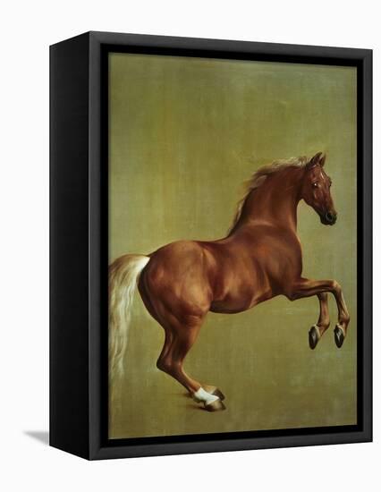 Whistlejacket, 1762-George Stubbs-Framed Stretched Canvas