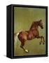 Whistlejacket, 1762-George Stubbs-Framed Stretched Canvas