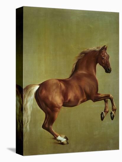 Whistlejacket, 1762-George Stubbs-Stretched Canvas