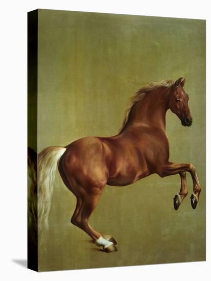 Whistlejacket, 1762-George Stubbs-Stretched Canvas