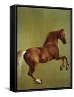Whistlejacket, 1762-George Stubbs-Framed Stretched Canvas