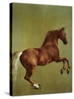 Whistlejacket, 1762-George Stubbs-Stretched Canvas