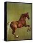 Whistlejacket, 1762-George Stubbs-Framed Stretched Canvas