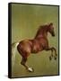 Whistlejacket, 1762-George Stubbs-Framed Stretched Canvas