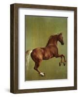 Whistlejacket, 1762-George Stubbs-Framed Premium Giclee Print