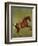 Whistlejacket, 1762-George Stubbs-Framed Premium Giclee Print