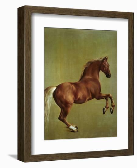 Whistlejacket, 1762-George Stubbs-Framed Premium Giclee Print