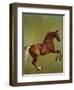 Whistlejacket, 1762-George Stubbs-Framed Premium Giclee Print