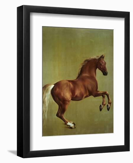 Whistlejacket, 1762-George Stubbs-Framed Premium Giclee Print