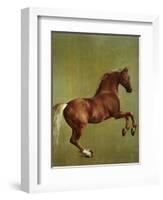 Whistlejacket, 1762-George Stubbs-Framed Premium Giclee Print