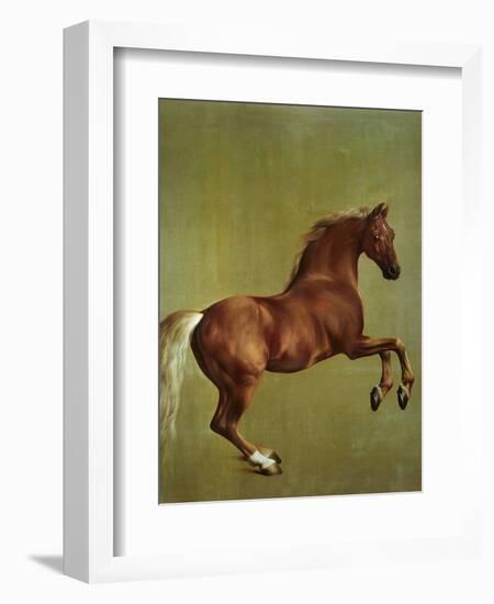 Whistlejacket, 1762-George Stubbs-Framed Premium Giclee Print