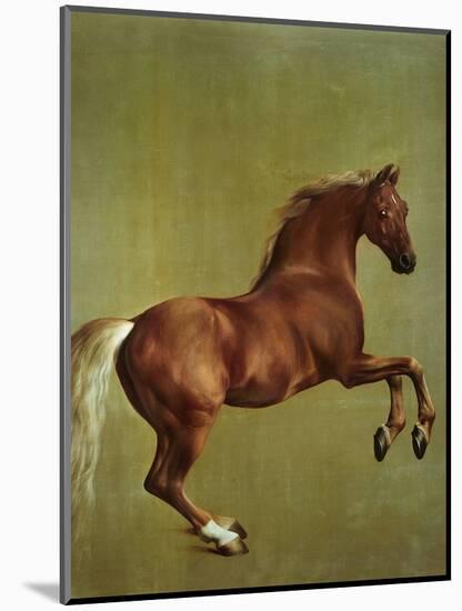 Whistlejacket, 1762-George Stubbs-Mounted Premium Giclee Print