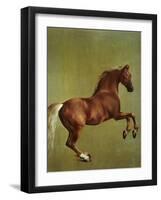 Whistlejacket, 1762-George Stubbs-Framed Premium Giclee Print