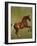 Whistlejacket, 1762-George Stubbs-Framed Premium Giclee Print