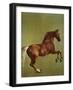 Whistlejacket, 1762-George Stubbs-Framed Premium Giclee Print