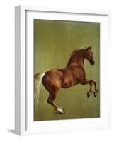 Whistlejacket, 1762-George Stubbs-Framed Giclee Print