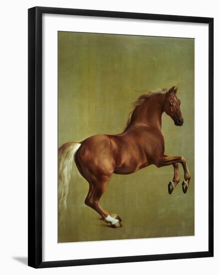 Whistlejacket, 1762-George Stubbs-Framed Giclee Print