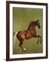 Whistlejacket, 1762-George Stubbs-Framed Giclee Print