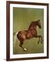 Whistlejacket, 1762-George Stubbs-Framed Giclee Print