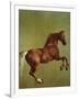 Whistlejacket, 1762-George Stubbs-Framed Giclee Print