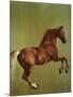 Whistlejacket, 1762-George Stubbs-Mounted Giclee Print