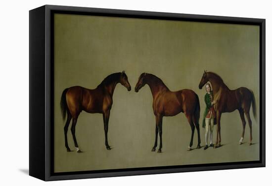 Whistlejacket and Two Other Stallions with Simon Cobb, the Groom, 1762-George Stubbs-Framed Stretched Canvas