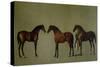 Whistlejacket and Two Other Stallions with Simon Cobb, the Groom, 1762-George Stubbs-Stretched Canvas