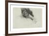 Whistler Asleep, 1897-Giovanni Boldini-Framed Premium Giclee Print