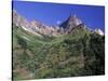 Whistler Mountain and Engelmann Spruce Forest, North Cascades, Washington, USA-Jamie & Judy Wild-Stretched Canvas