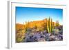 Whistling Organ Pipes-Anton Foltin-Framed Photographic Print