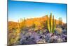 Whistling Organ Pipes-Anton Foltin-Mounted Photographic Print