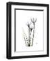 Whit Rain Lily Portrait-Albert Koetsier-Framed Premium Giclee Print