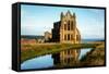 Whitby Abbey, Yorkshire, England, United Kingdom, Europe-Karen Deakin-Framed Stretched Canvas