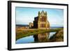 Whitby Abbey, Yorkshire, England, United Kingdom, Europe-Karen Deakin-Framed Photographic Print