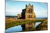 Whitby Abbey, Yorkshire, England, United Kingdom, Europe-Karen Deakin-Mounted Photographic Print