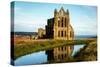 Whitby Abbey, Yorkshire, England, United Kingdom, Europe-Karen Deakin-Stretched Canvas