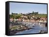 Whitby and the River Esk from the New Bridge, Whitby, North Yorkshire, Yorkshire, England, UK-Mark Sunderland-Framed Stretched Canvas