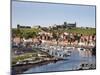 Whitby and the River Esk from the New Bridge, Whitby, North Yorkshire, Yorkshire, England, UK-Mark Sunderland-Mounted Photographic Print