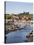 Whitby and the River Esk from the New Bridge, Whitby, North Yorkshire, Yorkshire, England, UK-Mark Sunderland-Stretched Canvas