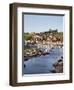 Whitby and the River Esk from the New Bridge, Whitby, North Yorkshire, Yorkshire, England, UK-Mark Sunderland-Framed Photographic Print