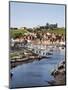 Whitby and the River Esk from the New Bridge, Whitby, North Yorkshire, Yorkshire, England, UK-Mark Sunderland-Mounted Photographic Print